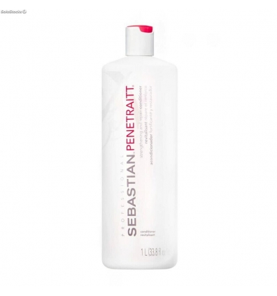 Sebastian professional foundation penettraitt conditioner 1 litro