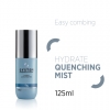 HYDRATE QUENCHING MIST H5 SYSTEM PROFESSIONAL SPRAY 250 ML