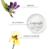 PURIFY MASK P3 PROTEZIONE INTENSIVA DALLA FORFORA SYSTEM PROFESSIONAL 200 ML