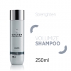 VOLUMIZE SHAMPOO FORZA E LEGGEREZZA SYSTEM PROFESSIONAL 