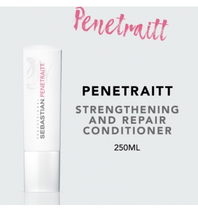 Sebastian professional foundation penettraitt conditioner 250 ml