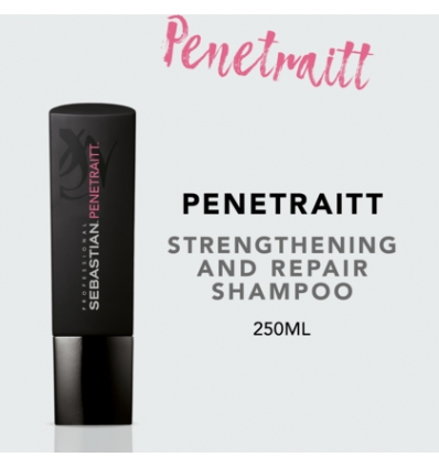 Sebastian foundation penetraitt shampoo 250 ml