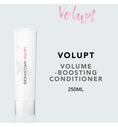 Sebastian professional foundation volupt conditioner 250 ml